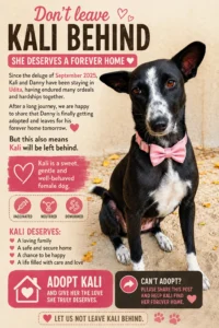 Need a loving home for the sweetest baby in Kolkata
