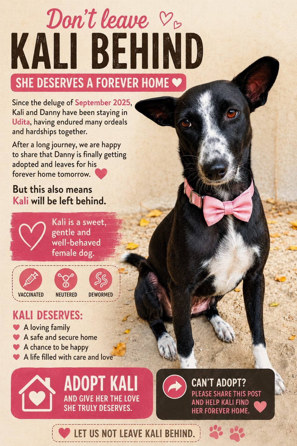 Need a loving home for the sweetest baby — Kolkata