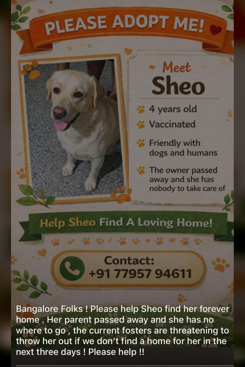 Adoption request URGENT — Bengaluru