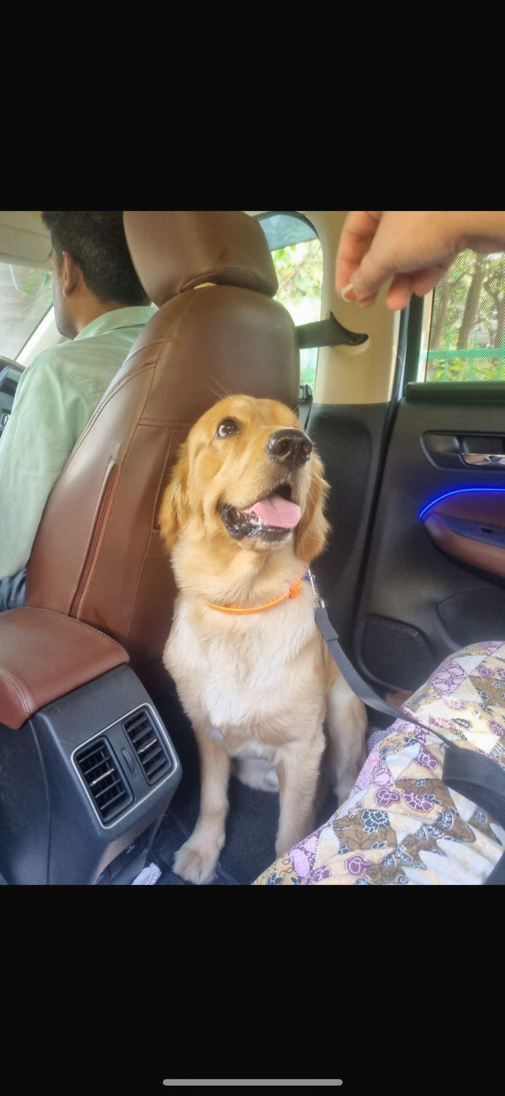 Delhi adoption