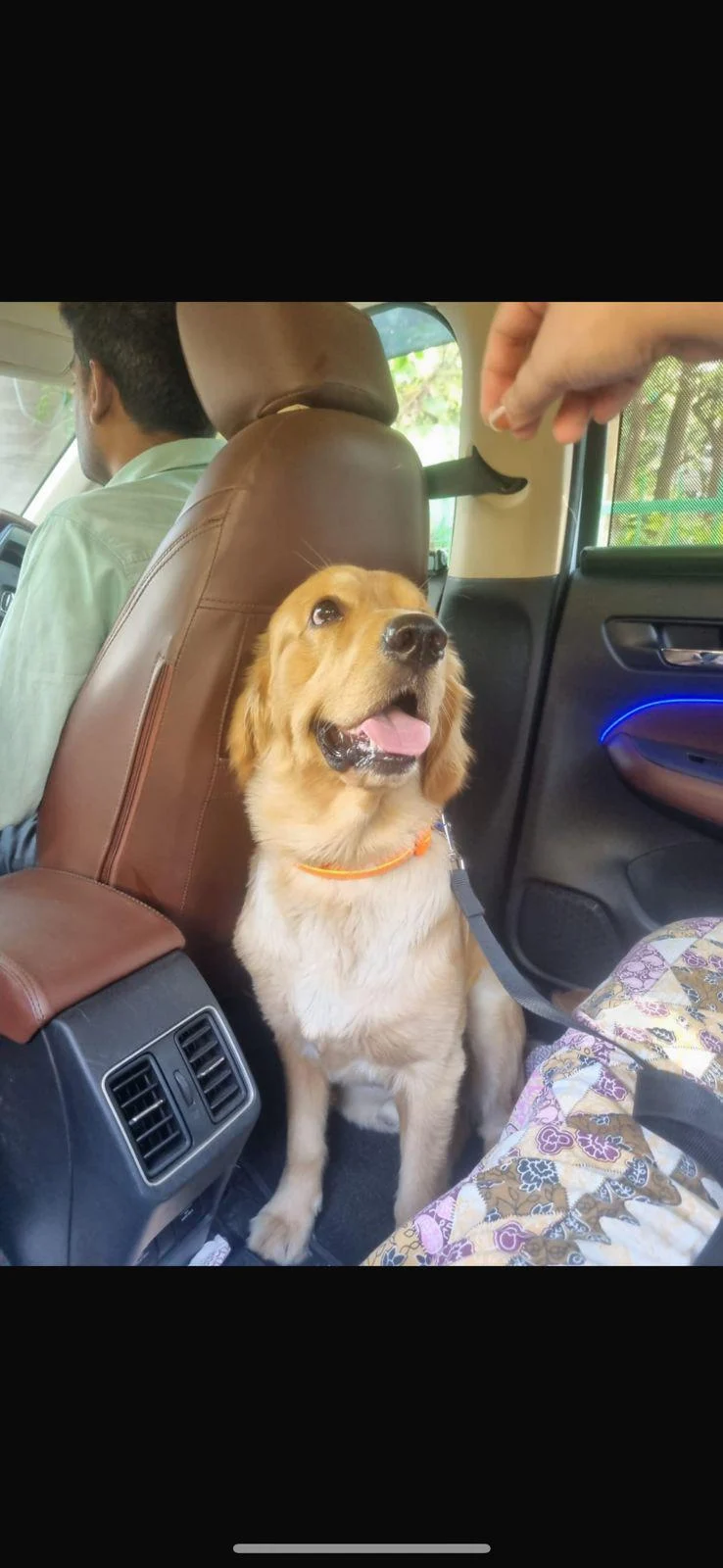 Delhi adoption