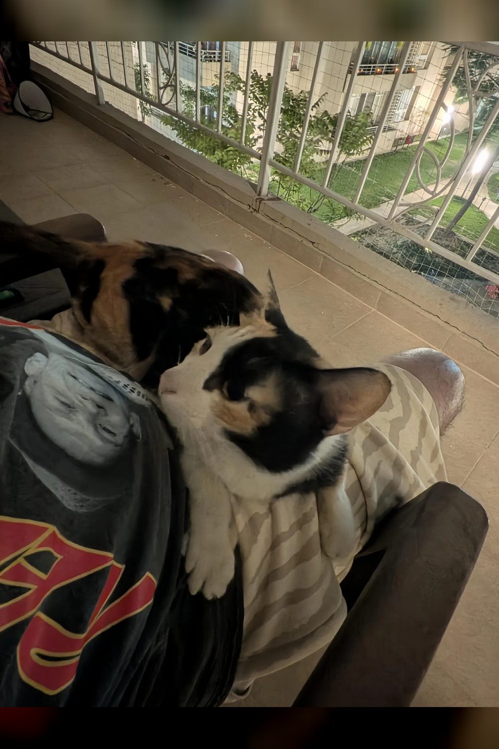 Help in getting choti choti the house of her dreams! — Delhi NCR
