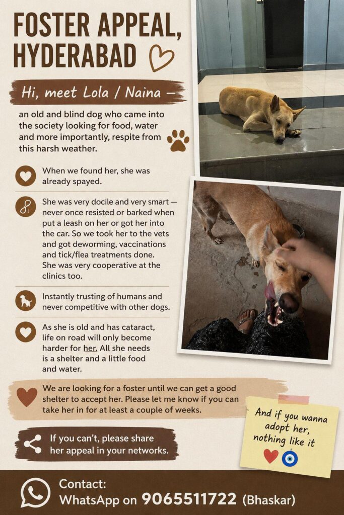 Adoption Appeal - Help