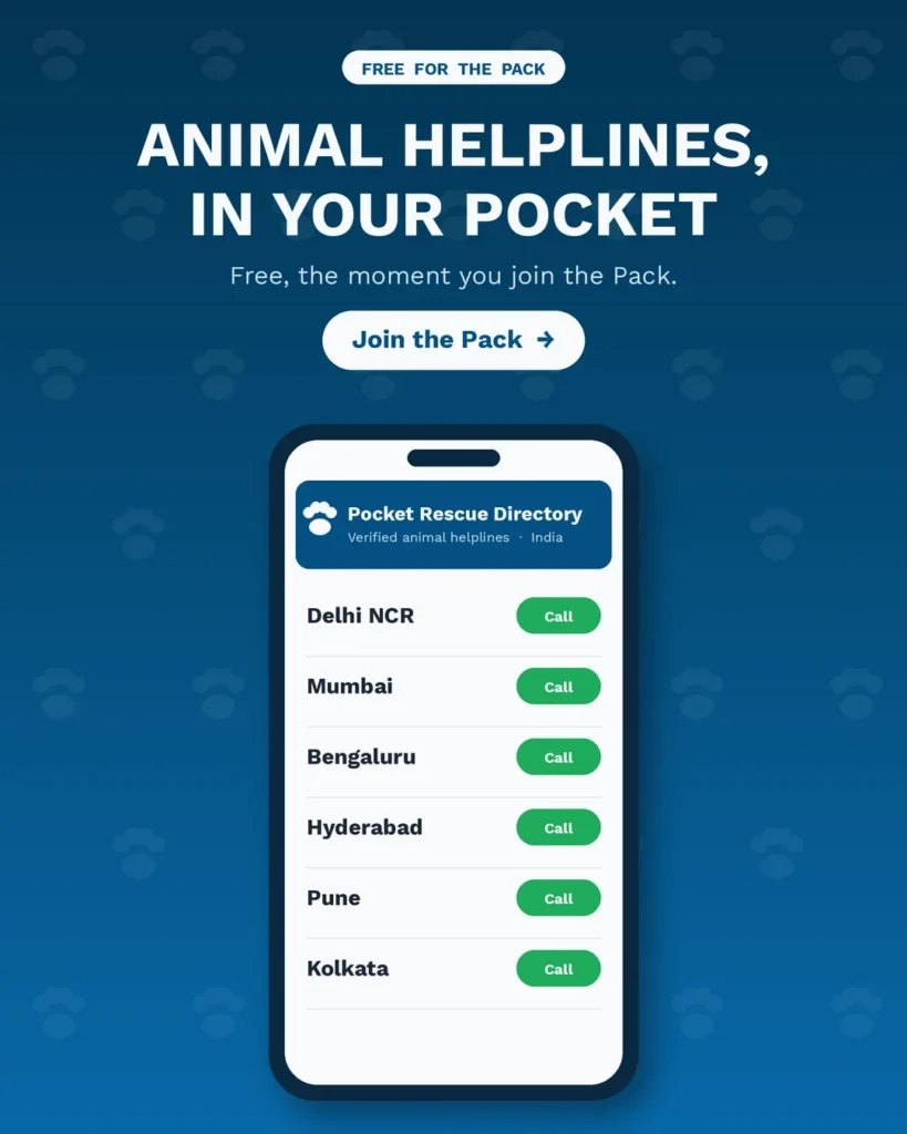 Pocket Rescue Directory on a phone listing verified animal helpline numbers for Indian cities, free when you join the Dog with Blog Pack.