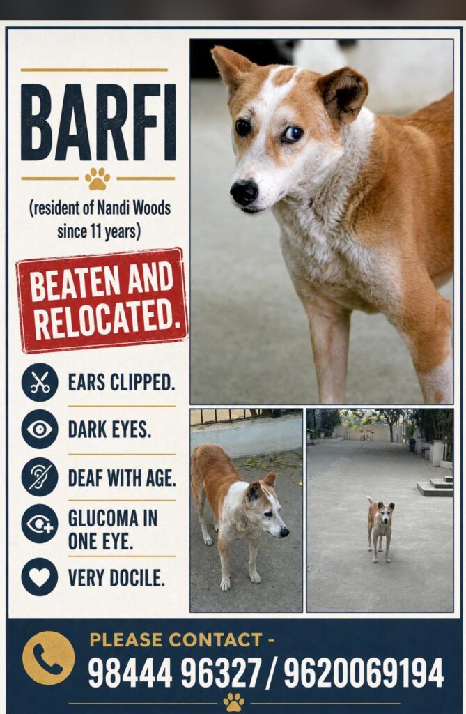 Adoption request