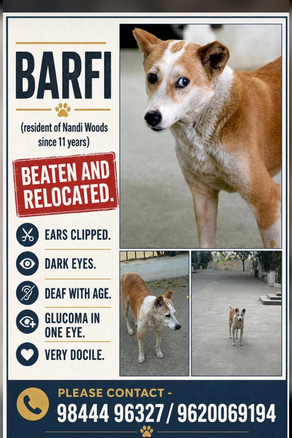 Adoption request — Bengaluru
