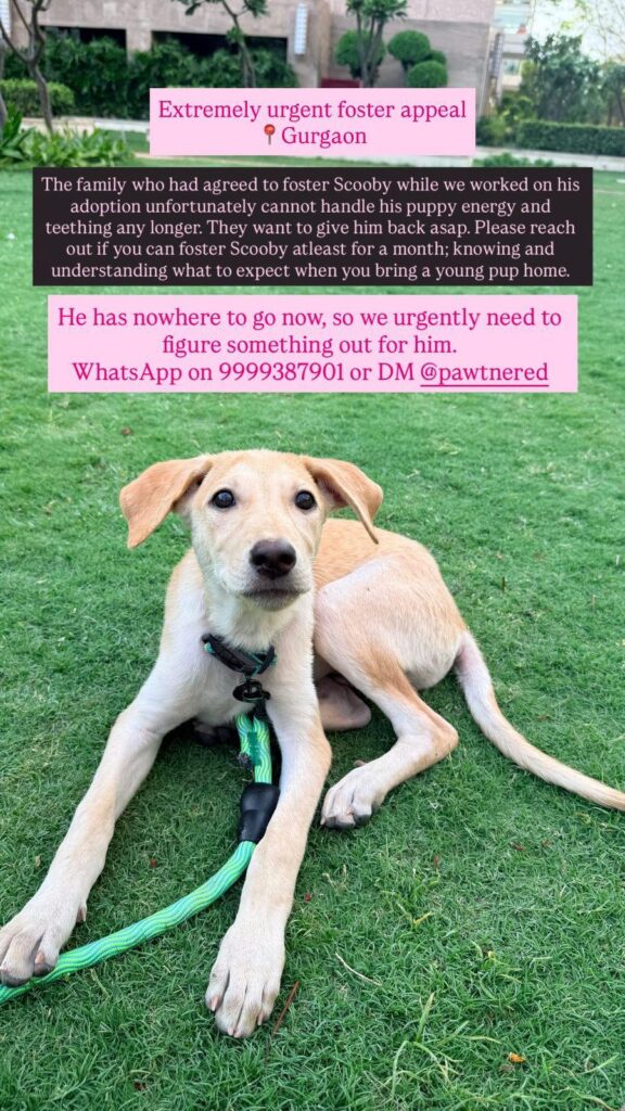 Gurgaon request