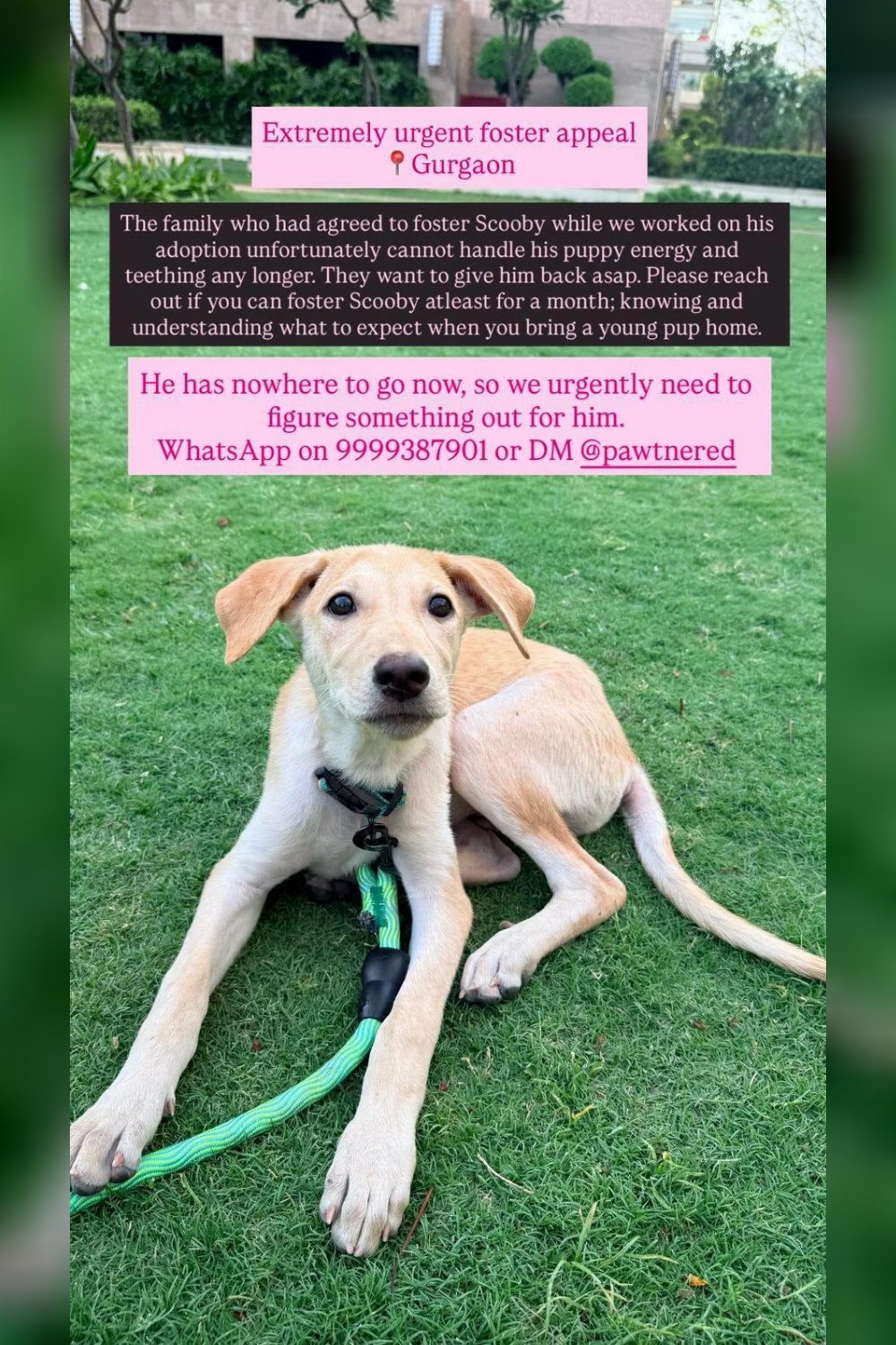 Gurgaon request — Delhi NCR