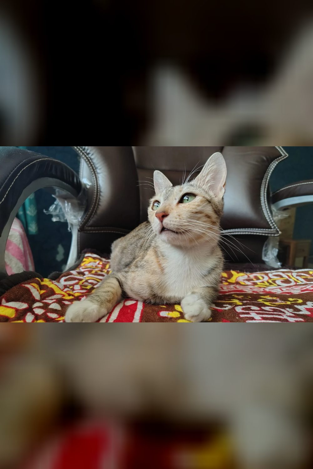 Prettiest baby up for adoption!!! (Pune)