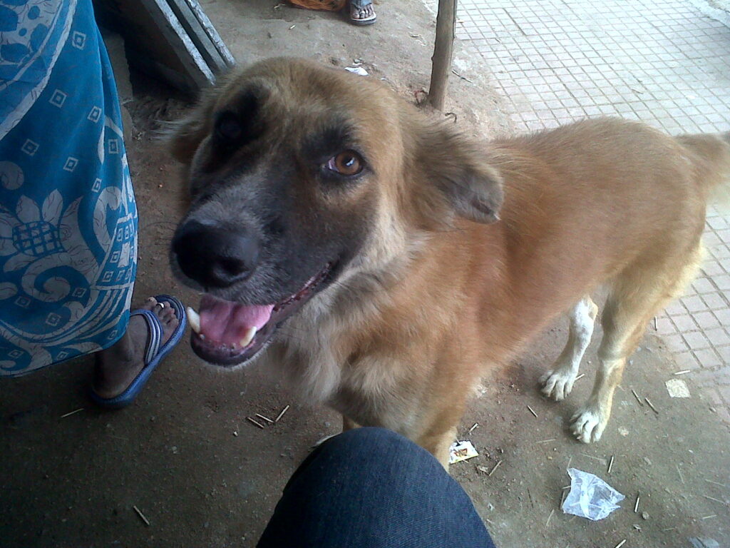 friend from deccan