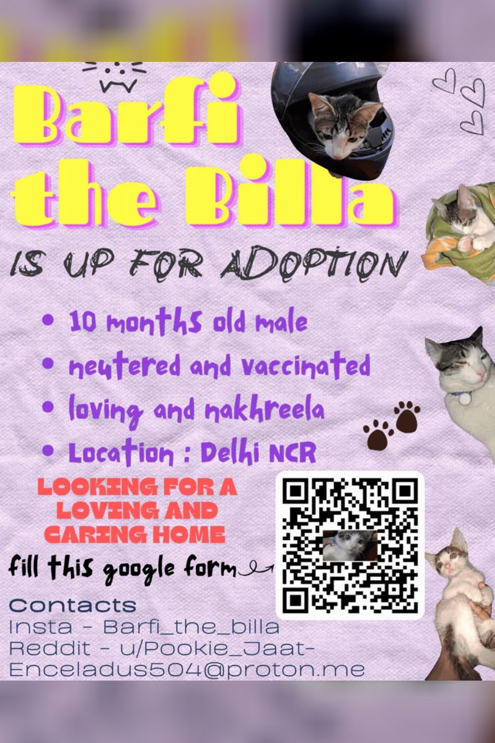 Adopt Barfi — Delhi NCR