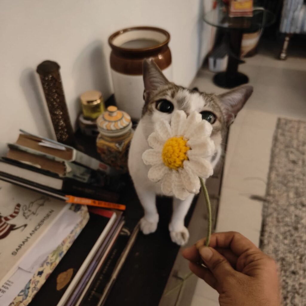 [City?] Adopt Oreo in Versova - pet in India
