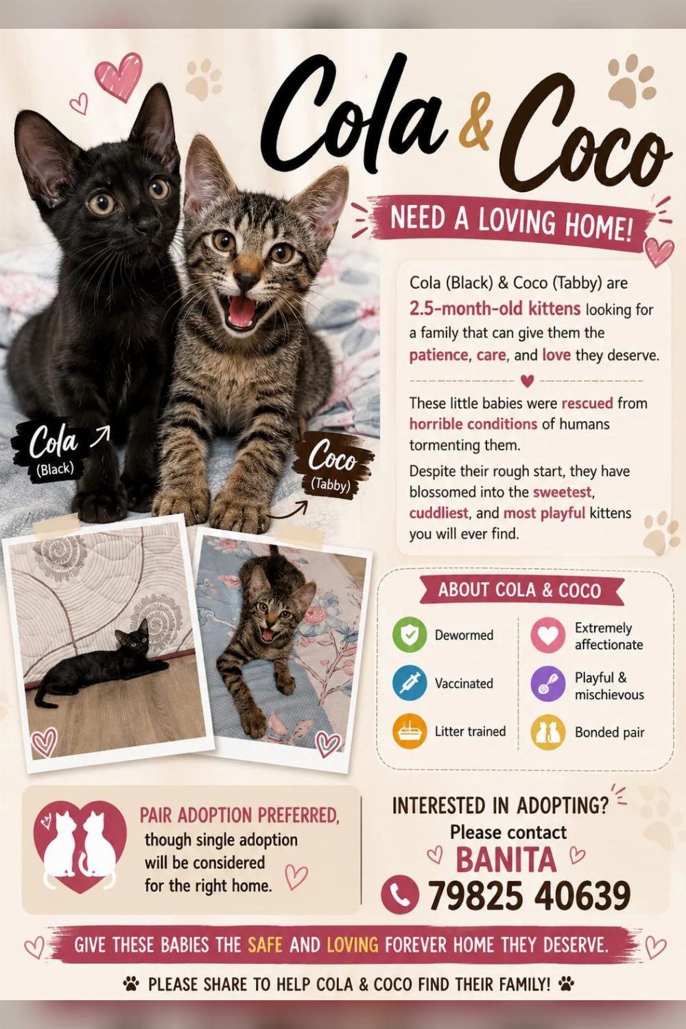 Adopt These Two Cuties — Delhi NCR