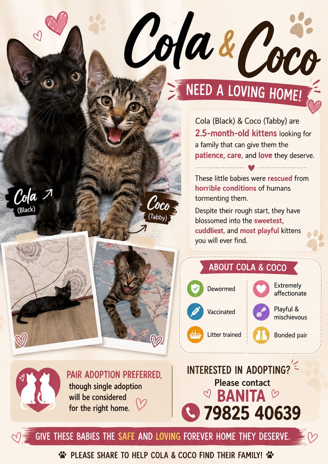 Adopt These Two Cuties in Delhi NCR