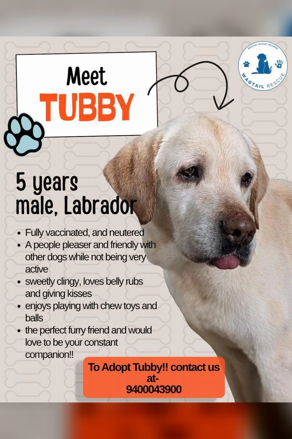Adopt Tubby — Ooty