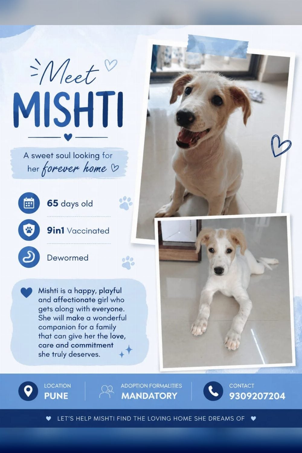 Adoption Appeal!! — Pune