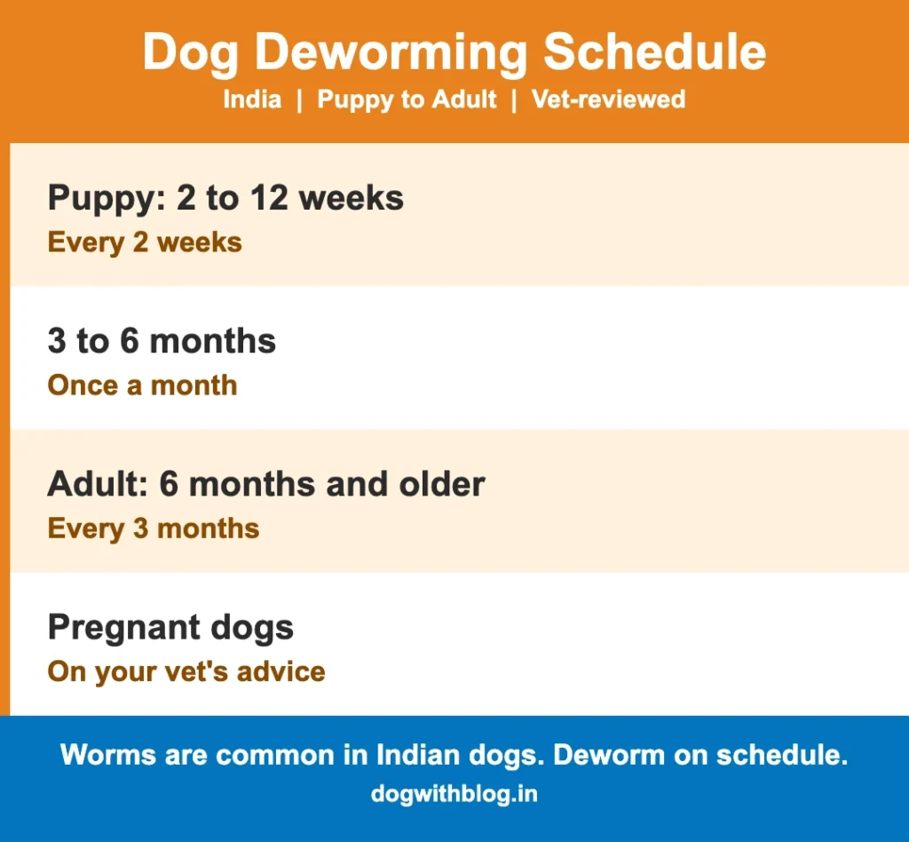 Dog deworming schedule chart for India: puppy every 2 weeks, monthly until 6 months, then every 3 months