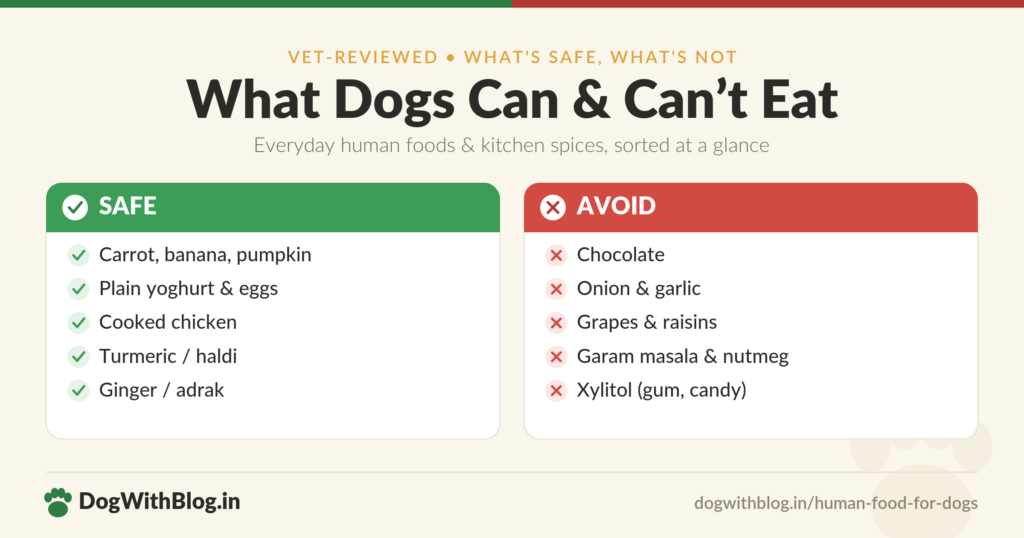 What dogs can and can't eat — safe vs unsafe human foods and spices, vet-reviewed by Dog with Blog.