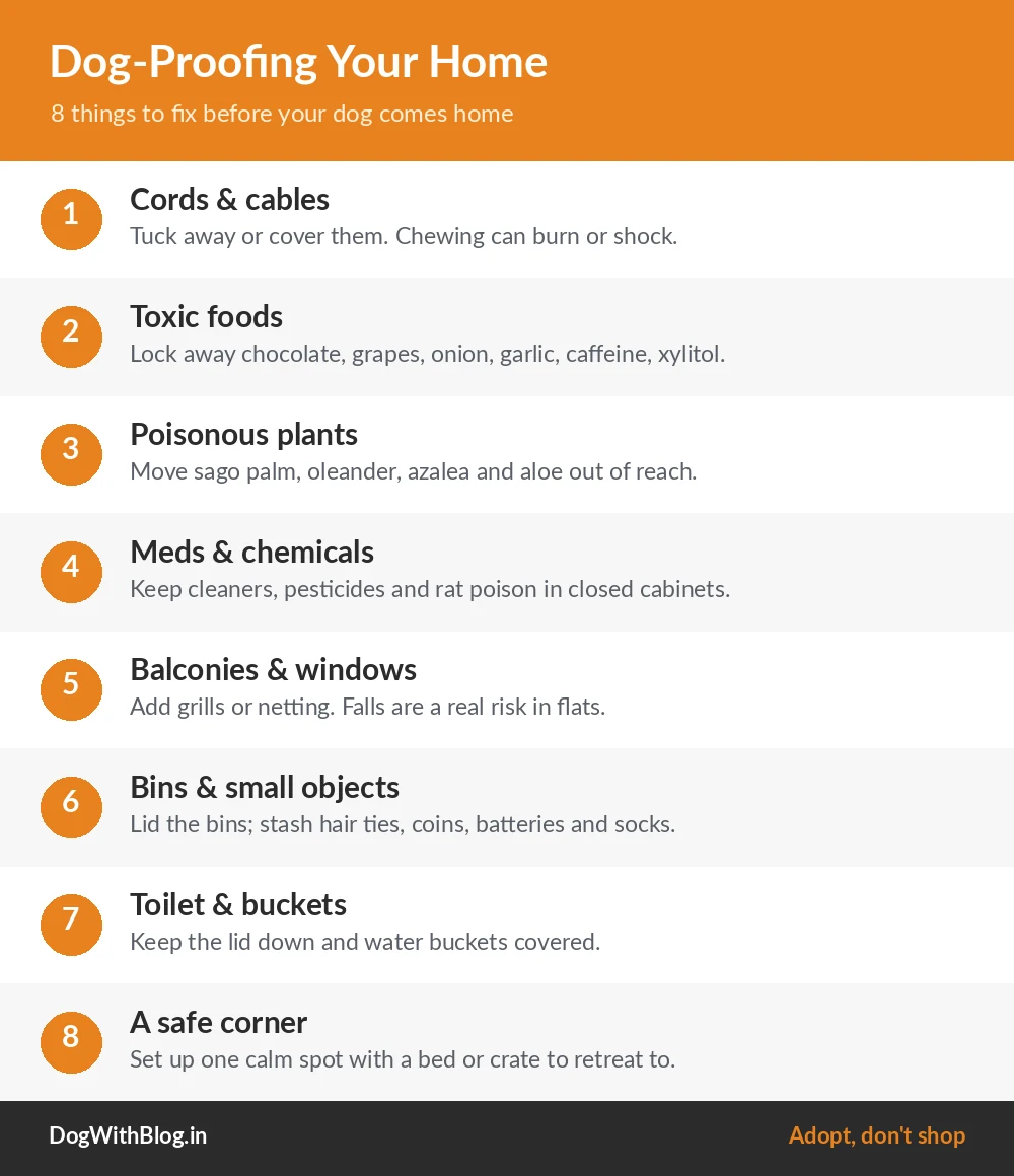 Dog-proofing your home checklist: 8 things to fix before bringing a dog home, including cords, toxic foods and plants, balcony grills, and a safe corner