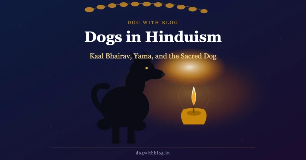 A black indie dog sitting before a diya flame – Dogs in Hinduism on Dog with Blog