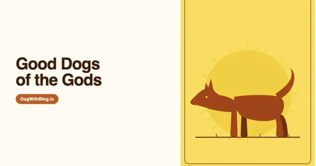 Ancient folk art illustration of a sacred INDog (Indian Pariah Dog) standing before a golden sun — dogs in Hindu mythology