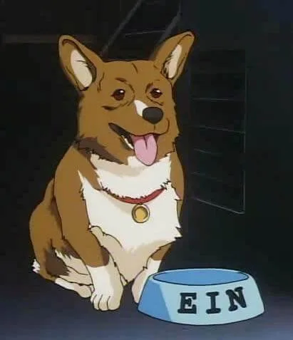Ein from Cowboy Bebop