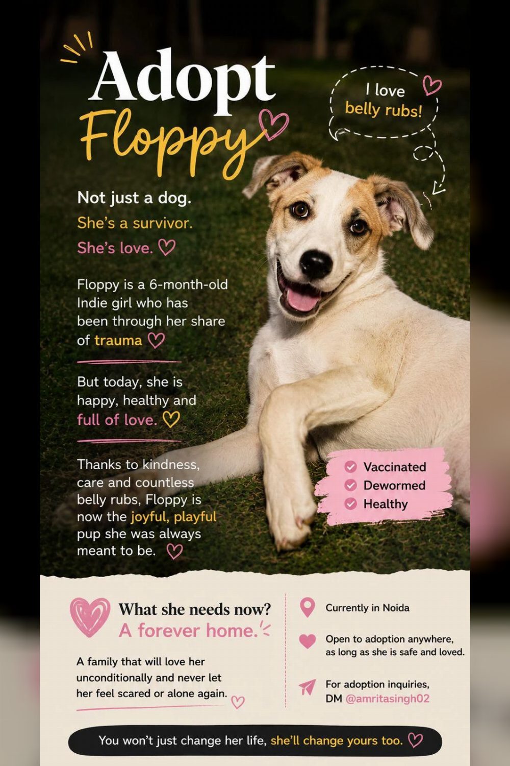 Floppy, a six-month-old indie survivor in Noida, is ready — Delhi NCR