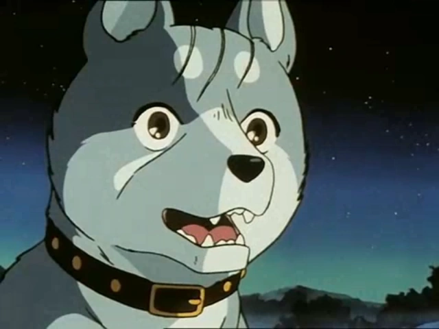 Gin, the silver Akita from Ginga: Nagareboshi Gin (Silver Fang) — a famous anime dog