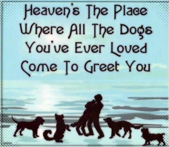 Dog heaven