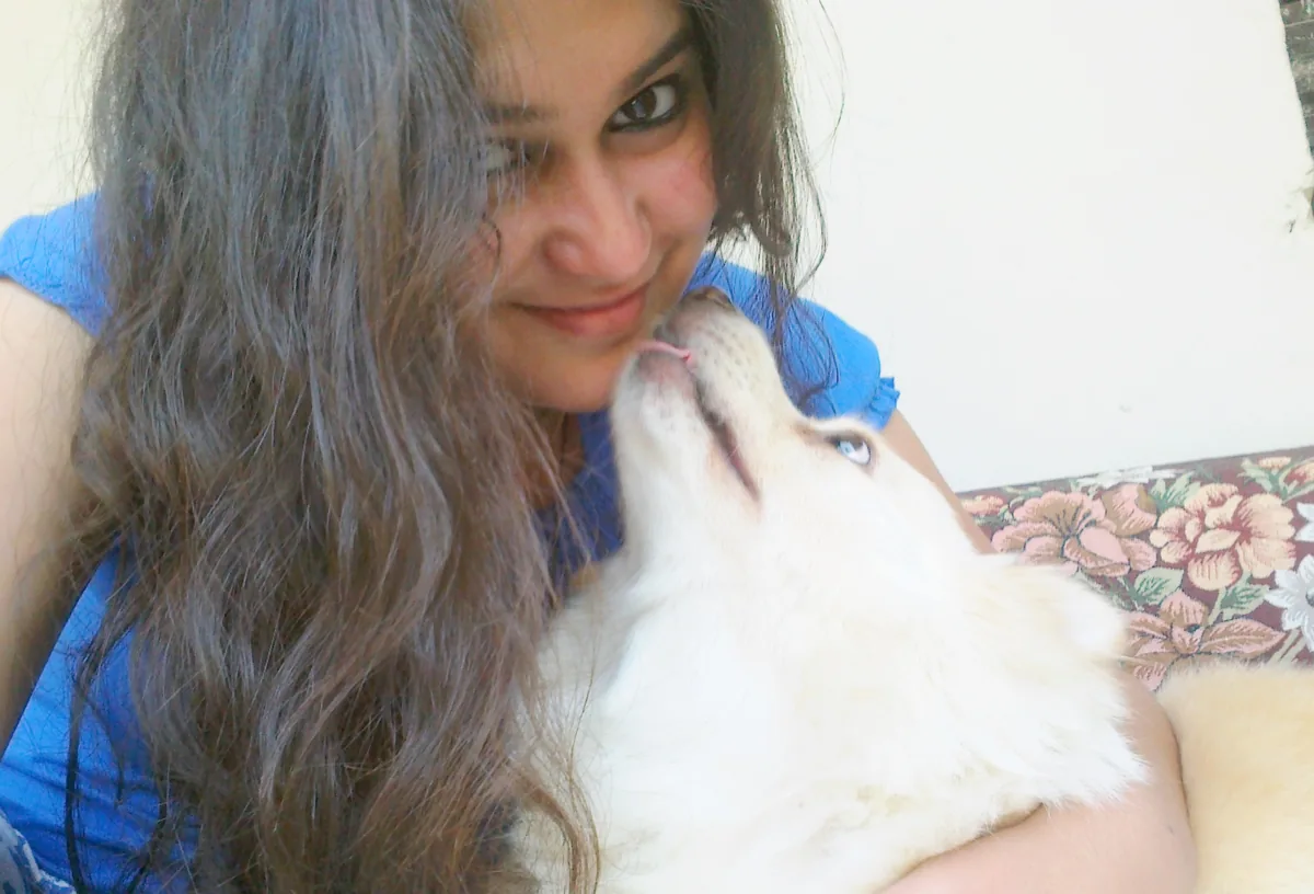 An Indian Spitz being affectionate with its owner