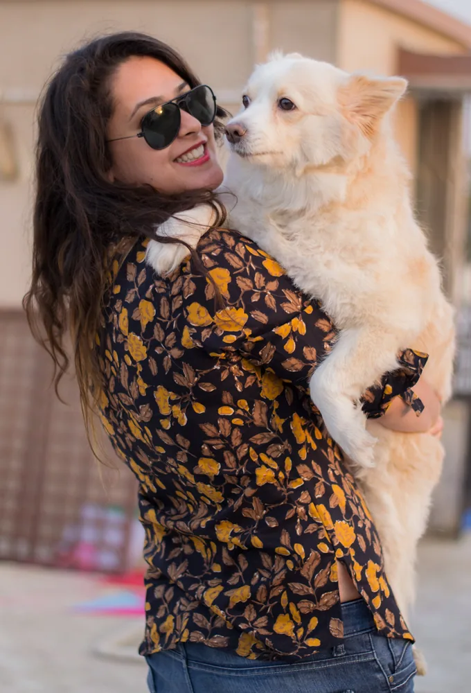 An Indian Spitz held by its owner