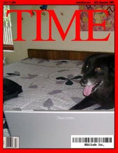 why the dog writes