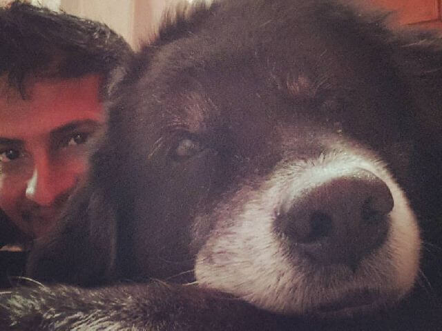 Kaalu dog with blog
