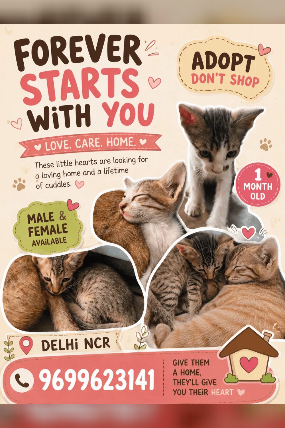 Kittens for adoption — Delhi NCR