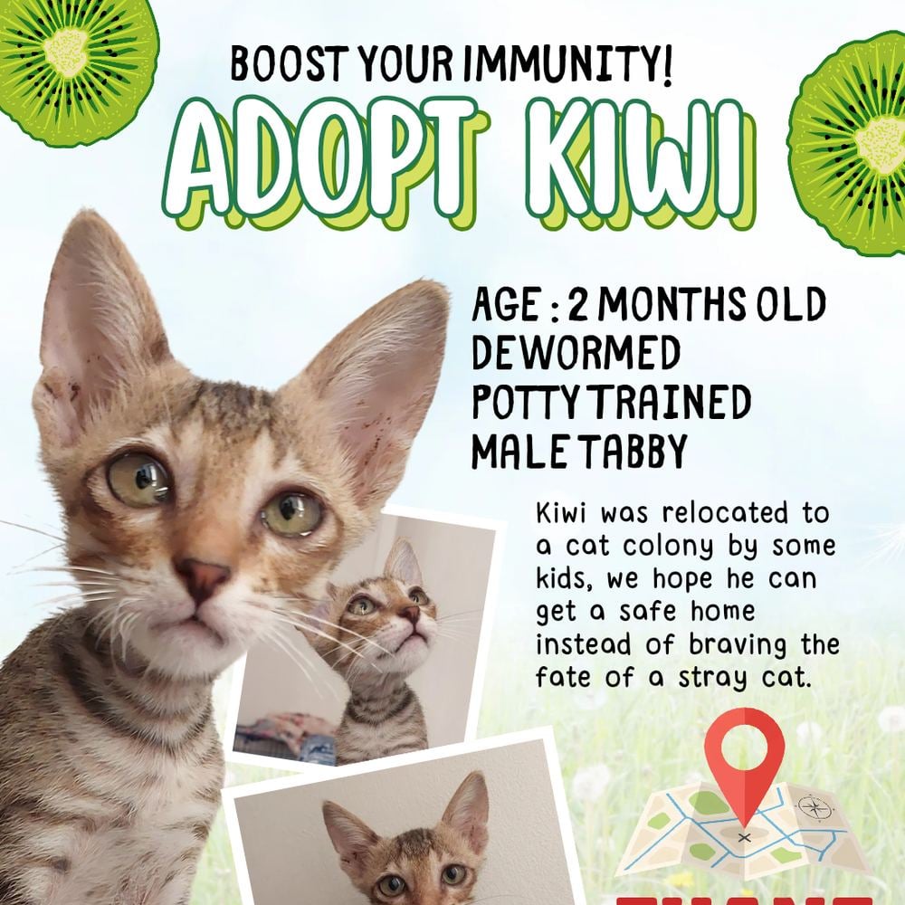 Kiwi β Mumbai