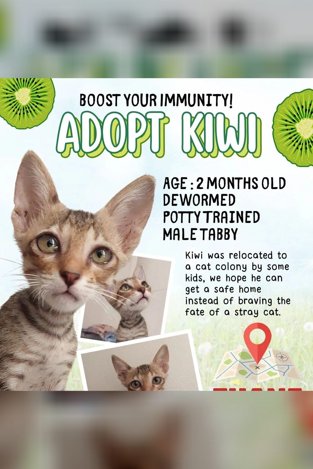 Kiwi — Mumbai