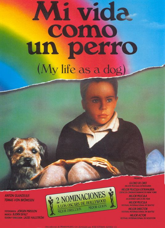 my life as a dog