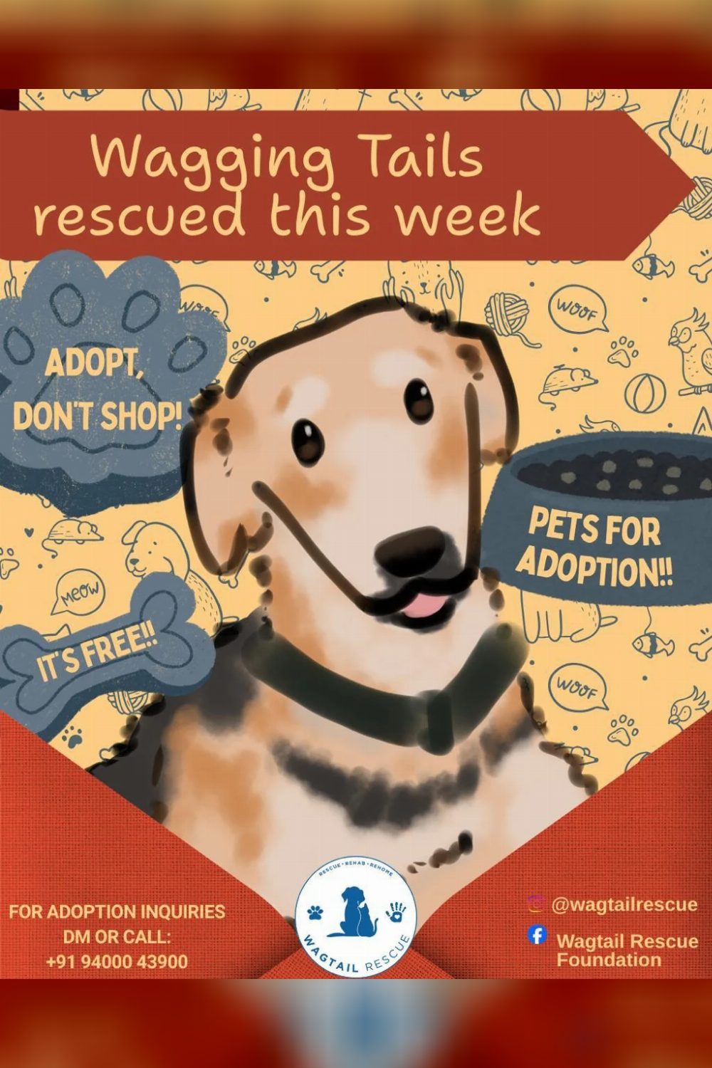 New rescues — Ooty