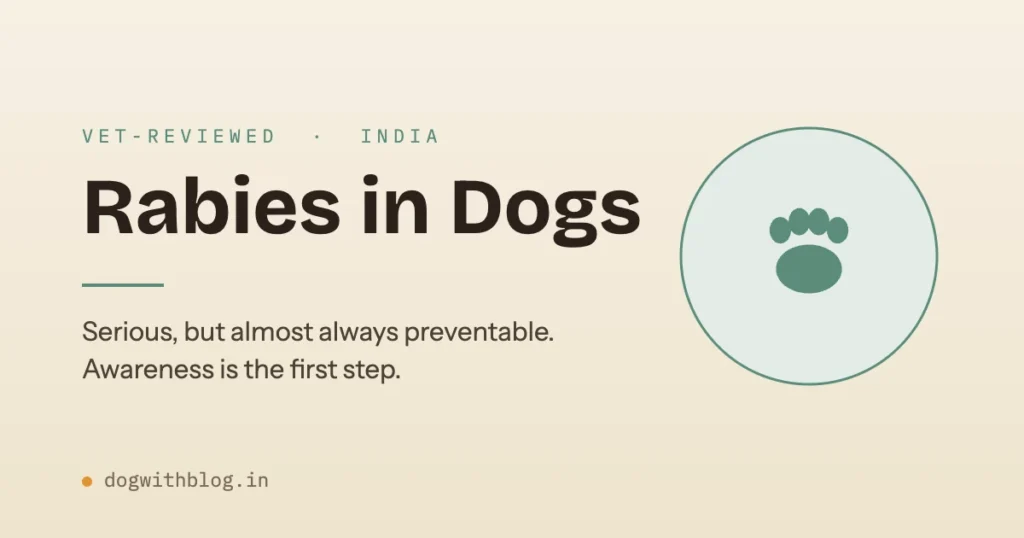 Vet-reviewed India guide to rabies in dogs: rabies is serious but almost always preventable, and awareness is the first step