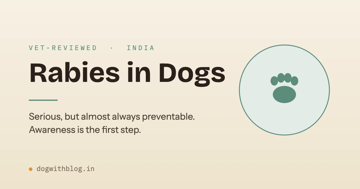 Symptoms, Stages & What to Do (India)