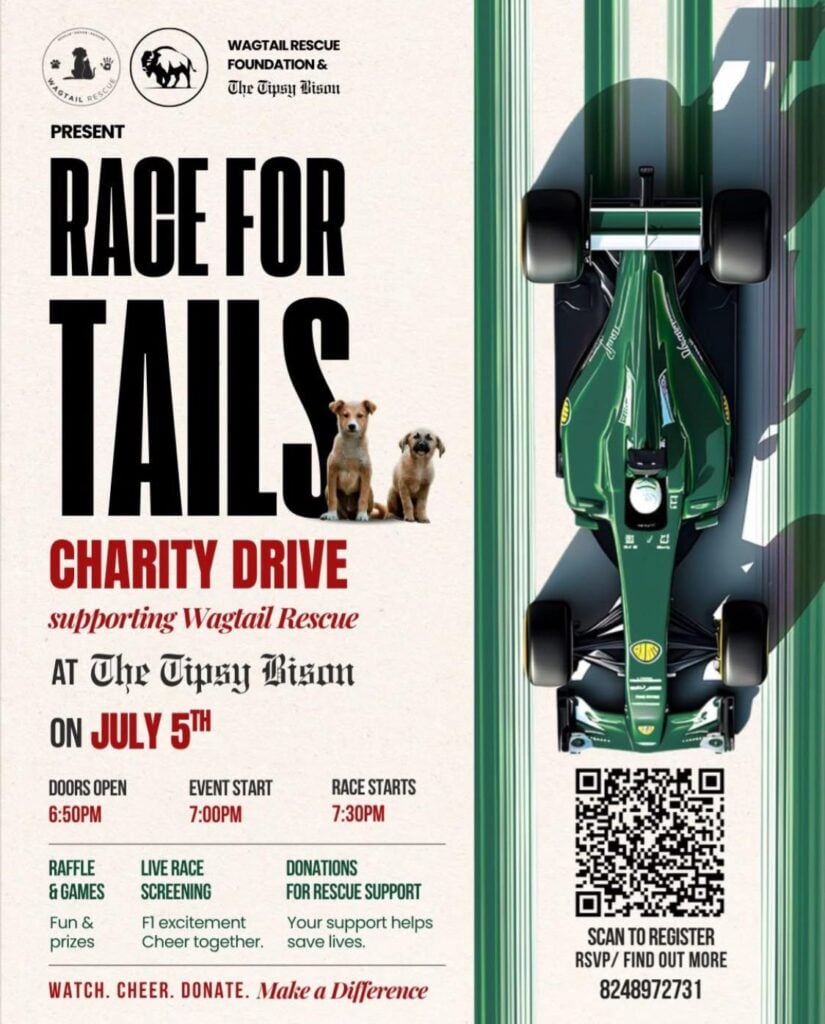 Shelter Charity Drive in Coonoor, Tamil Nadu - pet for adoption in India