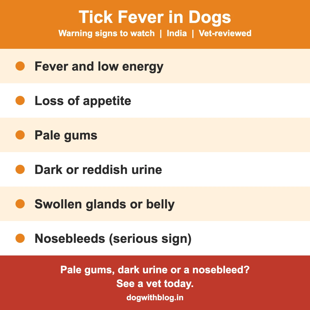 Tick fever in dogs warning signs in India: fever, loss of appetite, pale gums, dark urine, swollen glands and nosebleeds