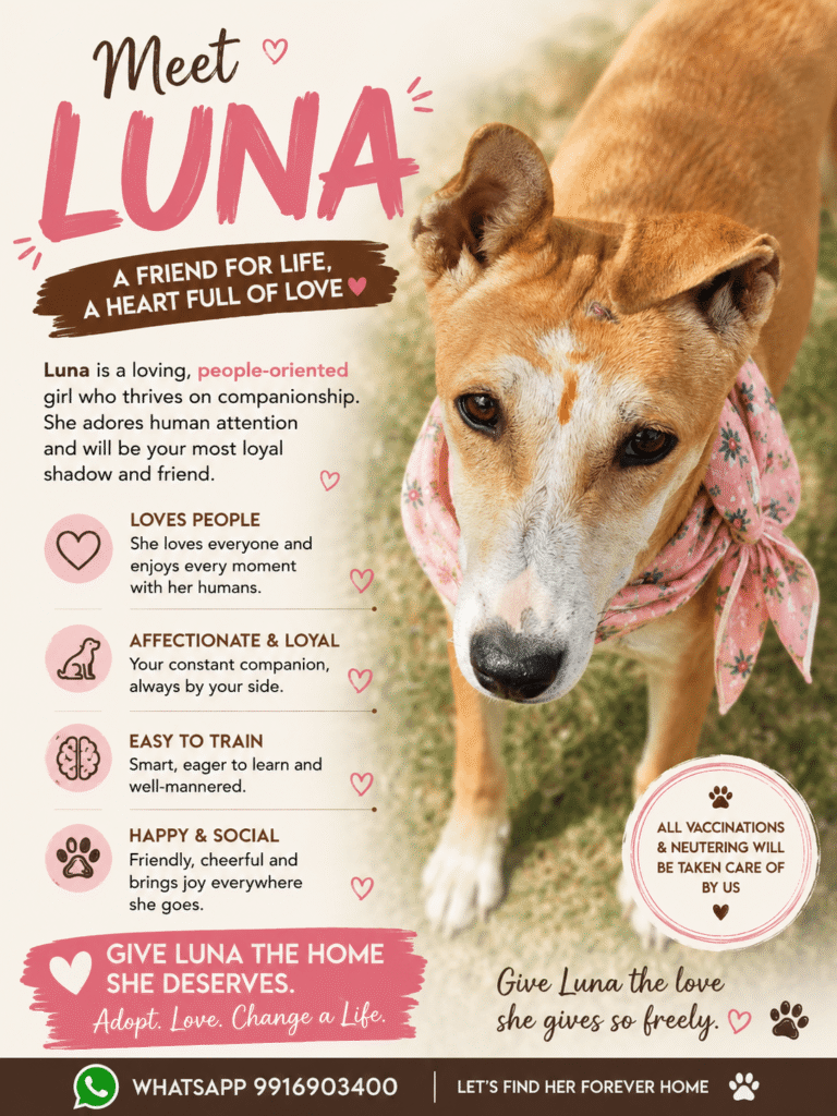 [City?] We are looking for a forever home for Luna and Ron. We are fostering 6 puppie... - puppy for adop (listing 92703)