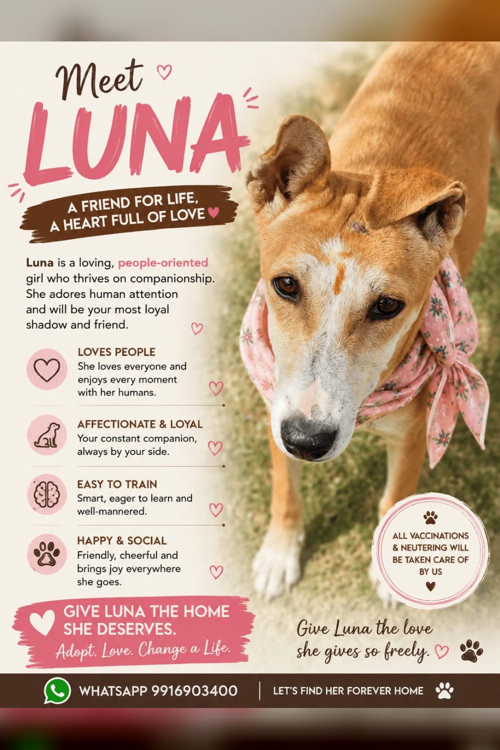Luna and Ron need loving homes — Delhi NCR