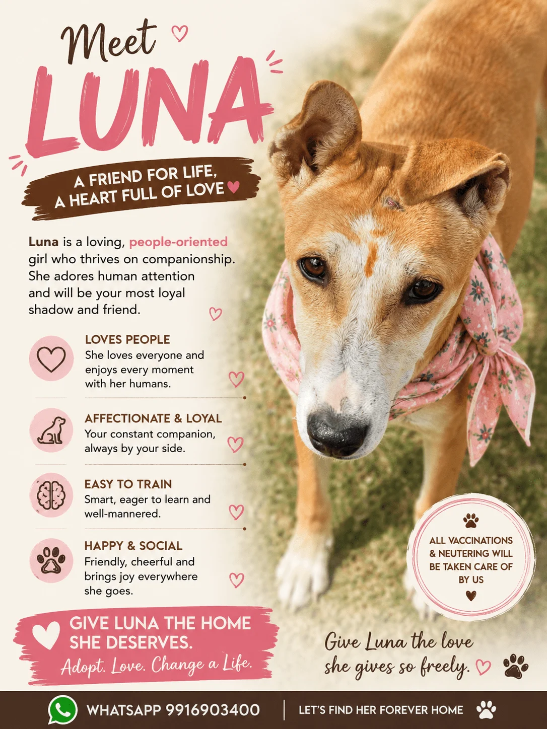 Luna and Ron need loving homes in Delhi NCR