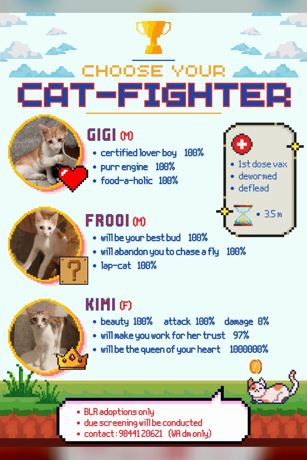 Gigi, Frooo and Kimi: three cats looking for homes — Bengaluru