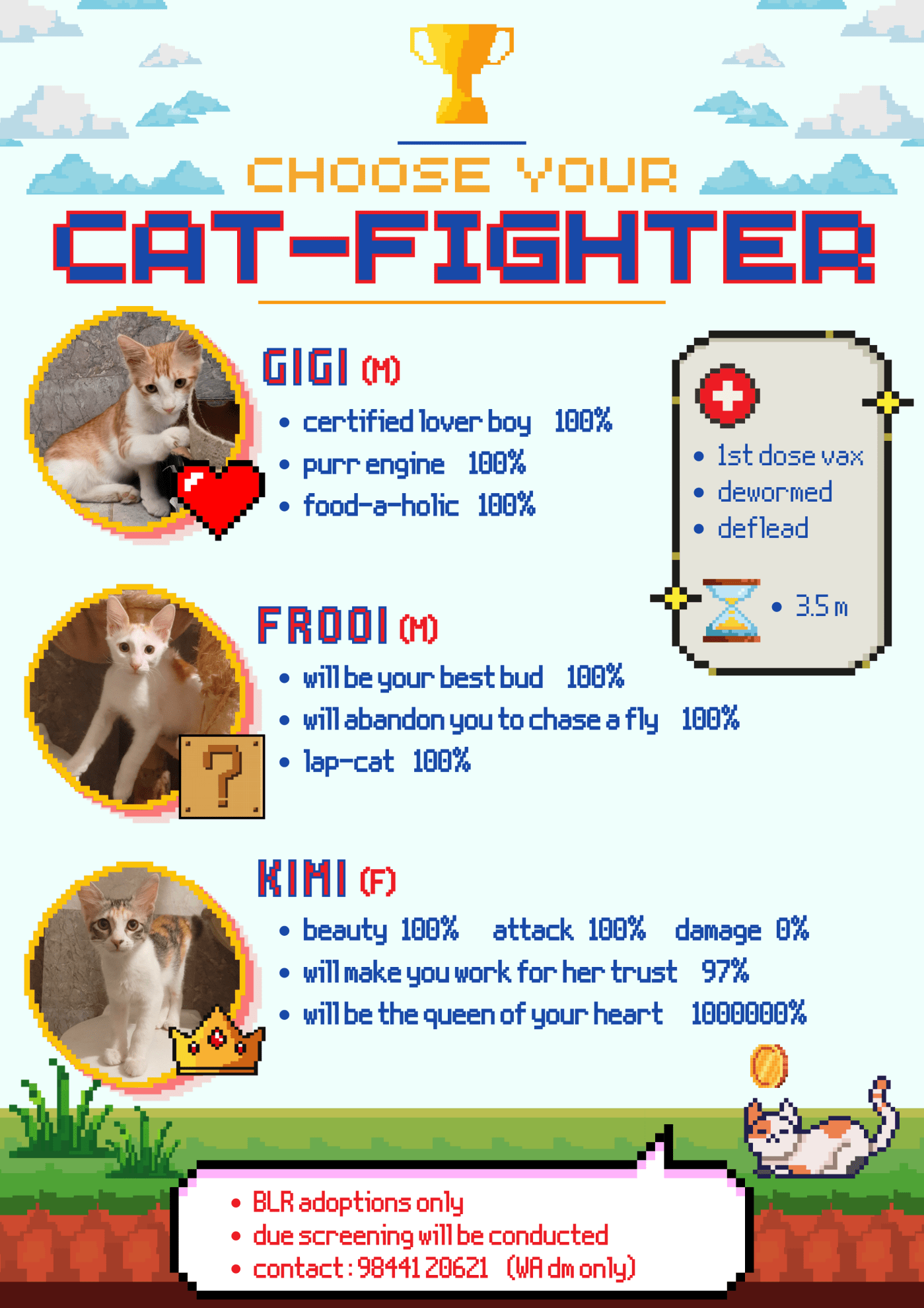 Gigi, Frooo and Kimi: three cats looking for homes — Bengaluru