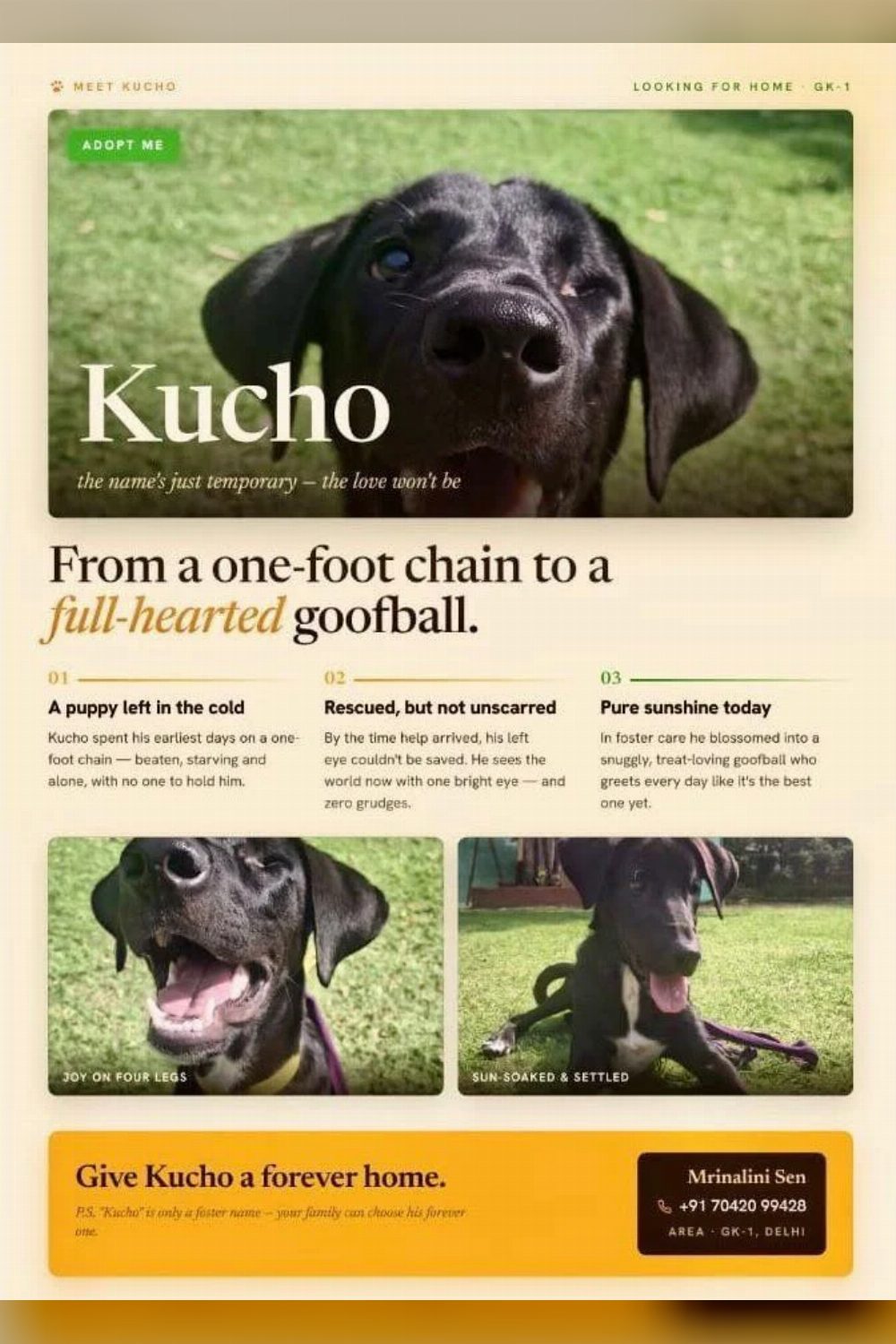 Kucho went from a one-foot chain to a full-hearted goofball — Delhi NCR