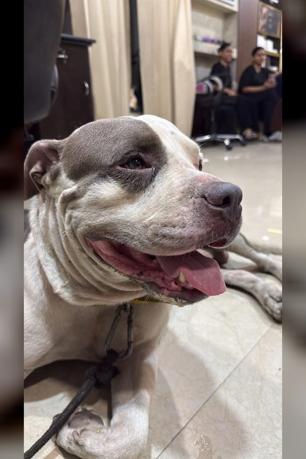 Abandoned boy looking for a loving home — Delhi NCR