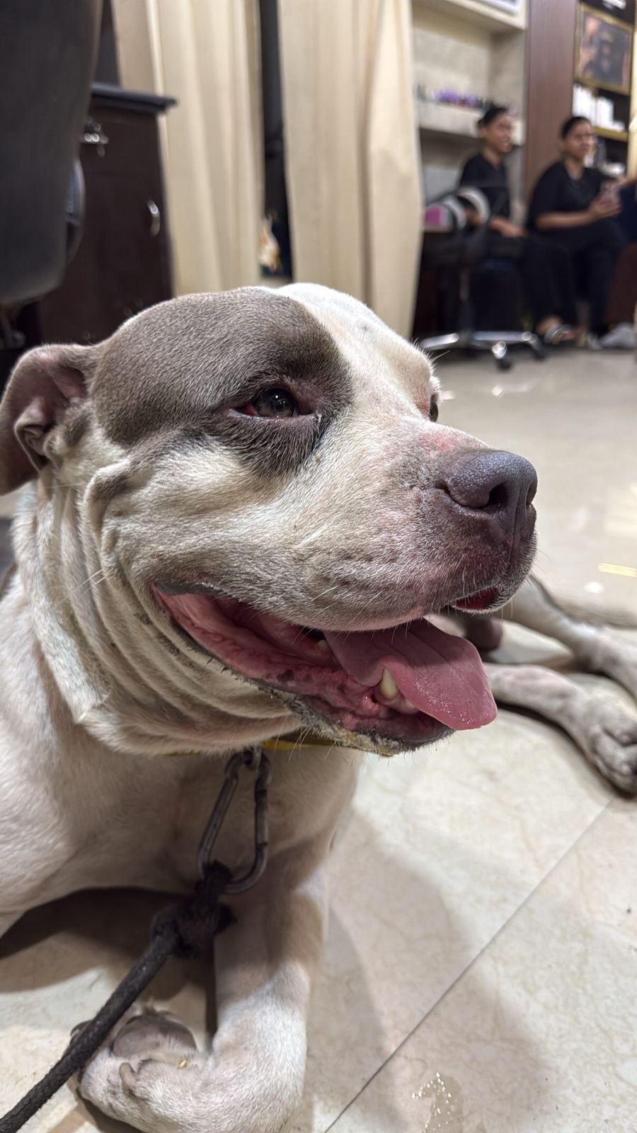 Abandoned boy looking for a loving home — Delhi NCR